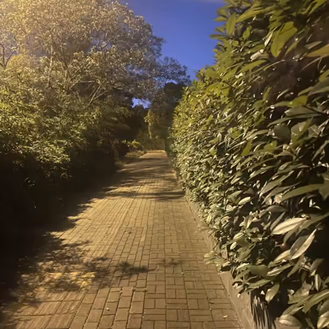 散步