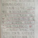 国宝大熊猫