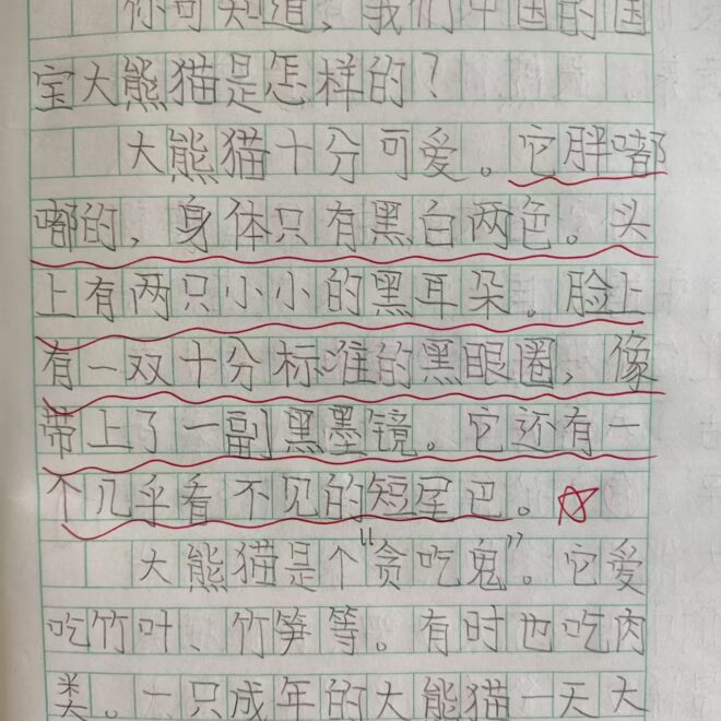 国宝大熊猫