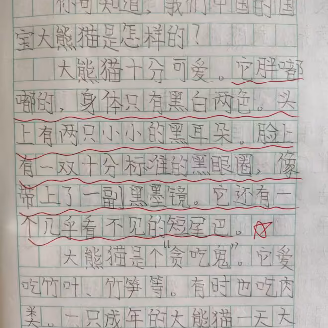 国宝大熊猫