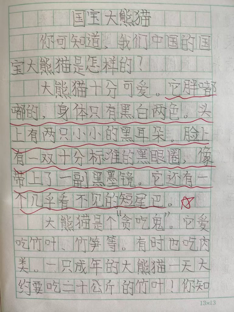 国宝大熊猫