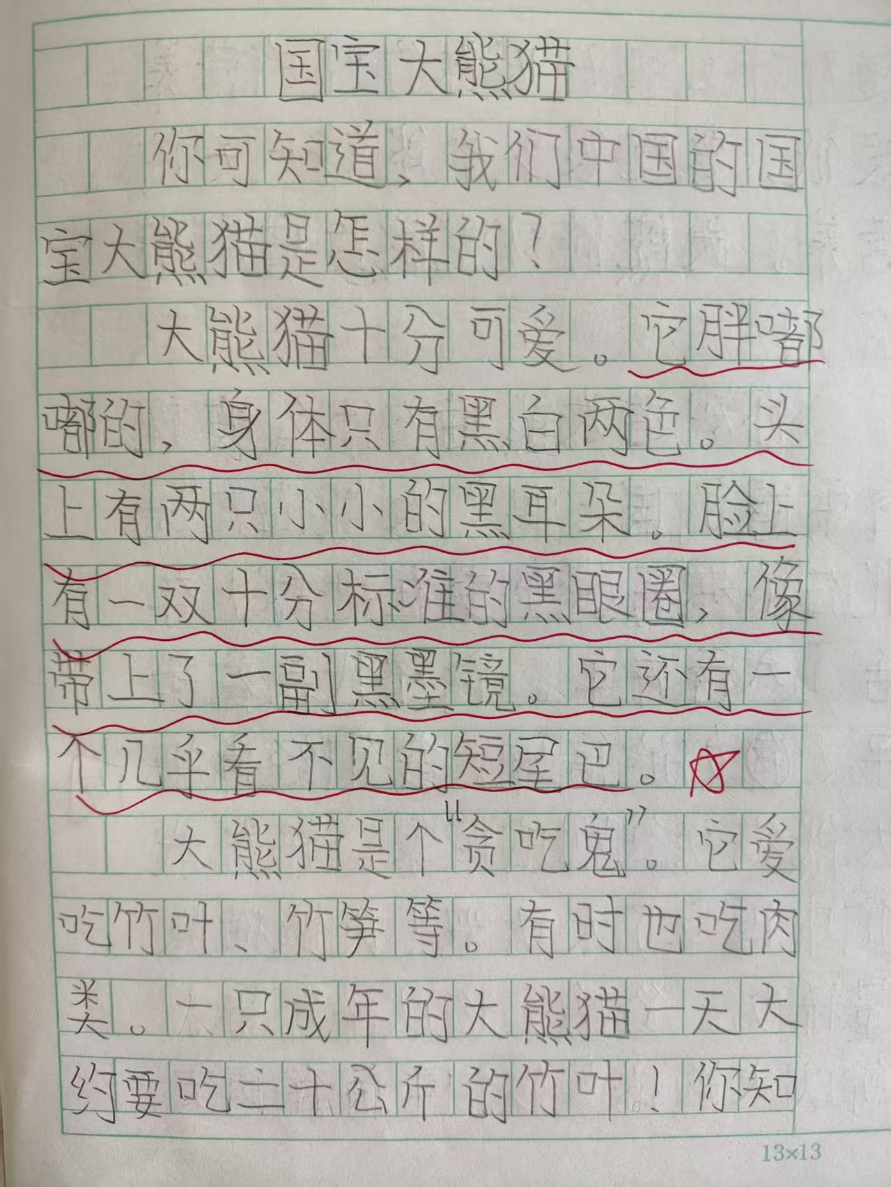 国宝大熊猫
