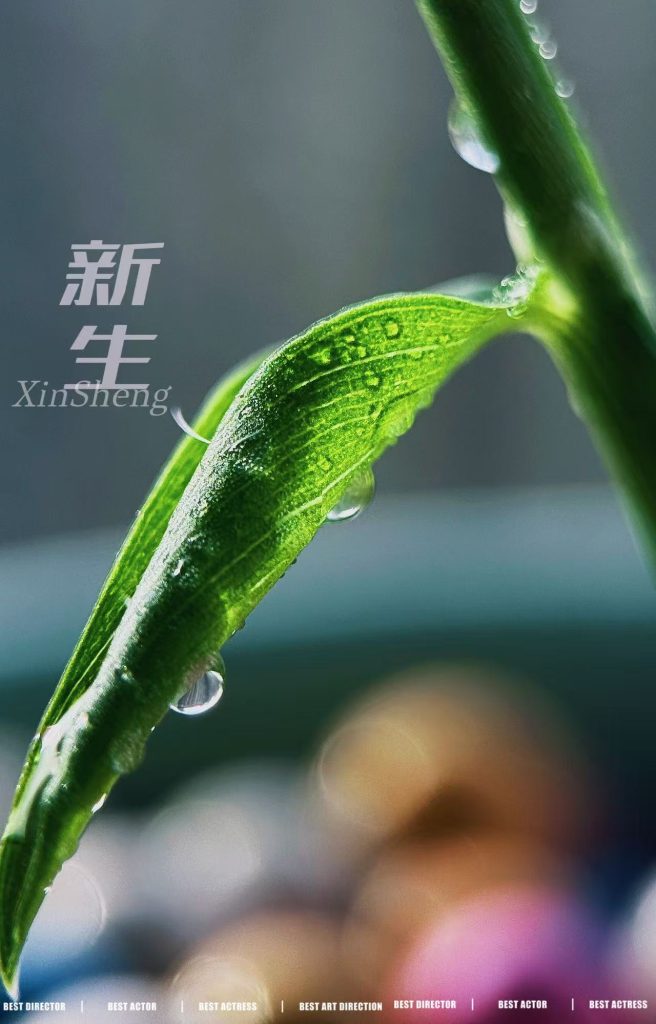 非二元对立